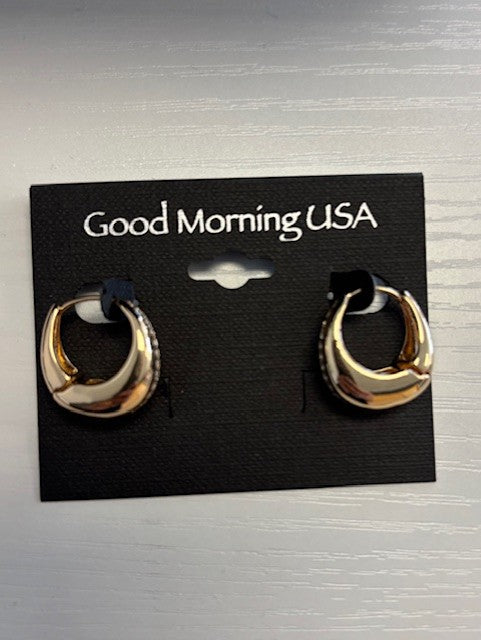 Gold Hoop Clasp Earring